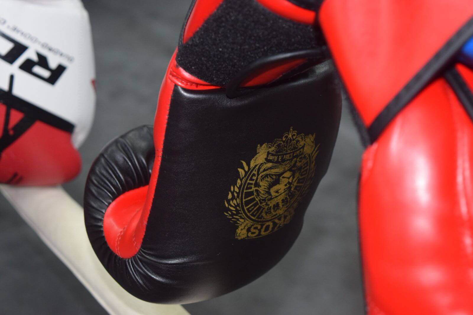 The Beginners Guide to Boxing in Singapore