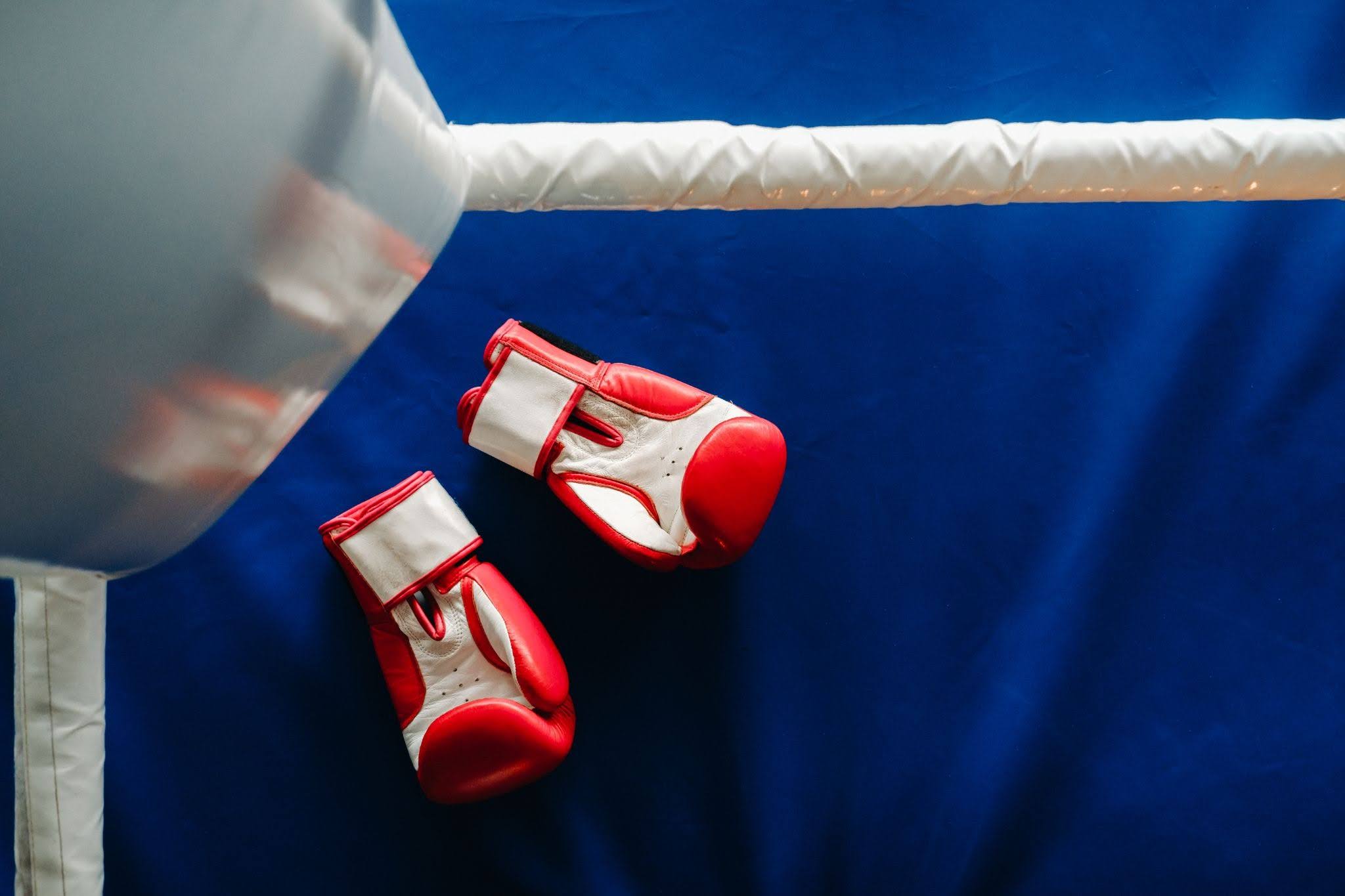 red and white boxing gloves in the corner of boxing ring